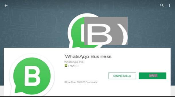 WhatsApp Business: que es y como funciona