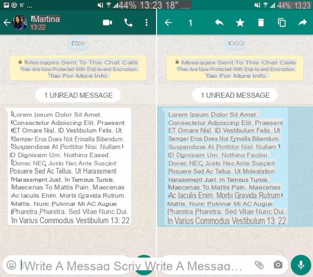 Cómo copiar mensajes de WhatsApp
